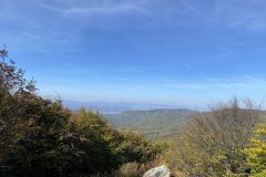 IMG_4699