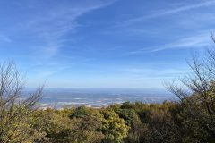 IMG_4701