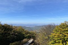 IMG_4702
