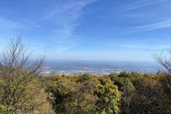 IMG_4703